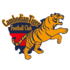 Cambodia Tiger