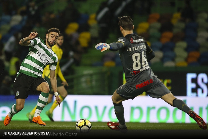 Liga NOS: Sporting x Pacos Ferreira 