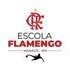 Flamengo Manaus